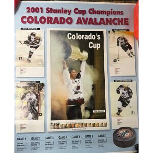 Colorado Avalanche 2001 STANLEY CUP CHAMPIONS Vintage CO Gazette 23x19 POSTER